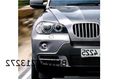 Koplamp R BMW X5 (E70) / Halogeen -4/10