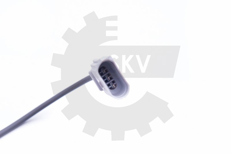 Sensor